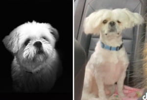 Очікування vs реальність