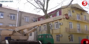 Чорноморська лікарня