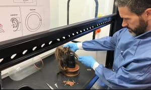 Висушена голова