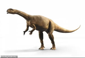 Massospondylus carinatus