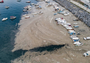 Мармурове море покрилося слизом