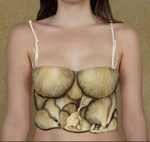 художниця створює речі з продуктів харчування 