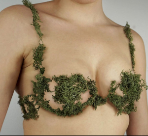 художниця створює речі з продуктів харчування 