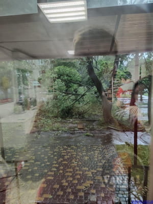 Непогода во Львове