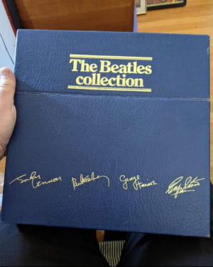 Виниловая пластинка The Beatles