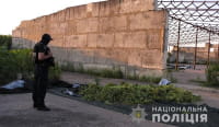 Плантация конопли