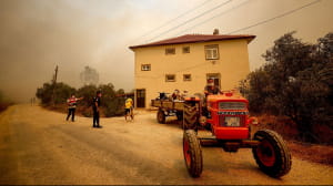 Пожежі у Туреччині 