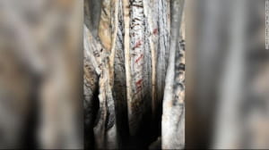 Творчість неандертальців у печері в Іспанії