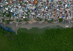 Wildlife Photographer of the Year