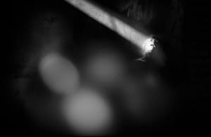 Жіночий оргазм