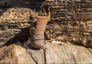 Археологічні розкопки у Хмельницькій області