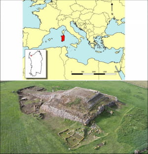 Знайдений на Сардинії зуб кашалота