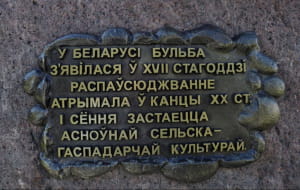 В Білорусі урочисто відкрили пам'ятник картоплі