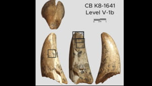 "Ательє" часів кроманьйонців, знайдене у Марокко 