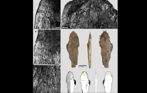 "Ательє" часів кроманьйонців, знайдене у Марокко 