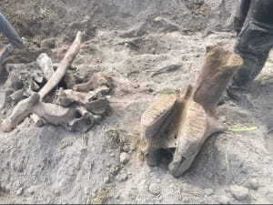 Археологічні розкопки у місті Кахраманмараш