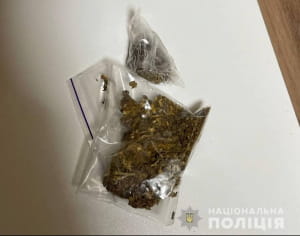 Затримання псевдополіцейських