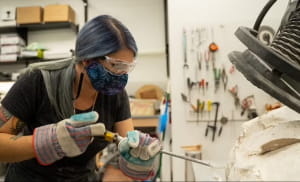 Останки динозаврів у Монтані