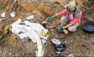 Останки динозаврів у Монтані