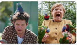 Меркель сфотографувалася з папугами і стала мемом мережі