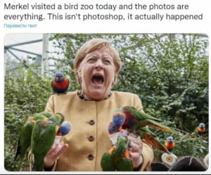 Меркель сфотографувалася з папугами і стала мемом мережі