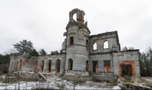 Палац Терещенків (Житомирщина)