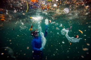 Участники фотоконкурса природоохранной организации Nature Conservancy