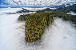 Участники фотоконкурса природоохранной организации Nature Conservancy