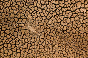 Участники фотоконкурса природоохранной организации Nature Conservancy