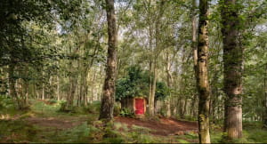 Казковий будиночок Вінні-Пуха