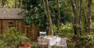 Казковий будиночок Вінні-Пуха