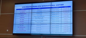 Большое расширение от Wizz Air