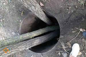 Порятунок коня