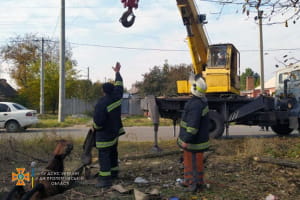 Порятунок коня