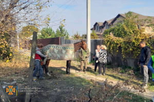 Порятунок коня