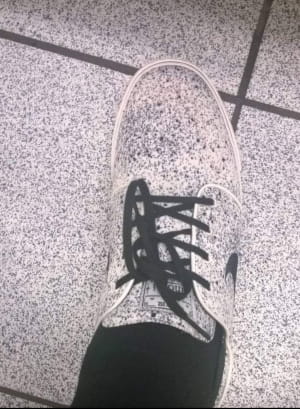 10 вещей, которые слились с окружающими предметами