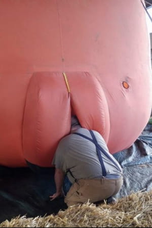 Семейные фото