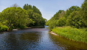 Замок Карестон