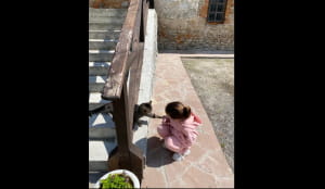 Кот по кличке Маркиз