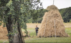 Кадры из "Здесь живет только один человек / Село Червоне"