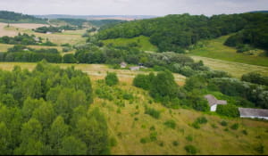 Кадры из "Здесь живет только один человек / Село Червоне"