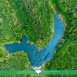 Учасник конкурсу "Вікі любить землю 2021"