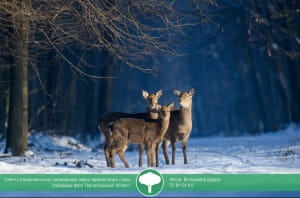 Учасник конкурсу "Вікі любить землю 2021"