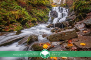 Учасник конкурсу "Вікі любить землю 2021"