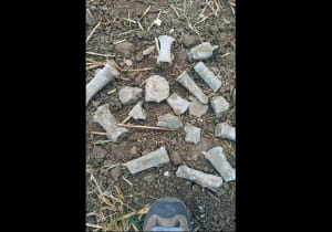 Знахідка у Мілденхоллі (графство Суффолк)