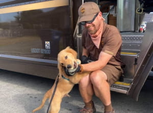 Поштарі та песики