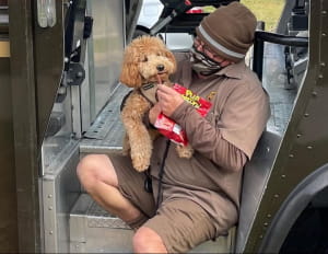 Поштарі та песики