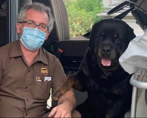 Поштарі та песики