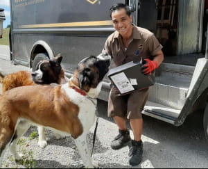 Поштарі та песики