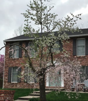 дивовижні явища природи, у які неможливо повірити